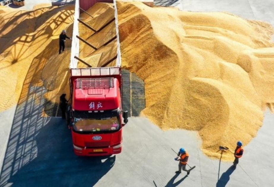 China: Getreideimporte im Januar und Februar gestiegen