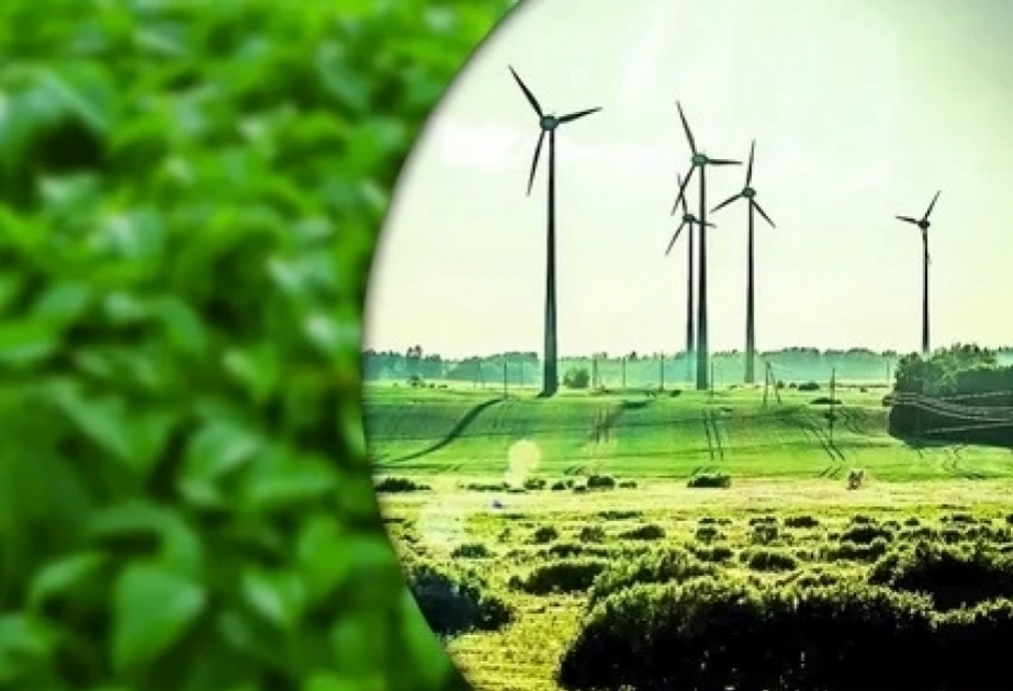 Azerbaijan's Renewable Revolution: Illuminating the Caucasus with Green Energy Leadership