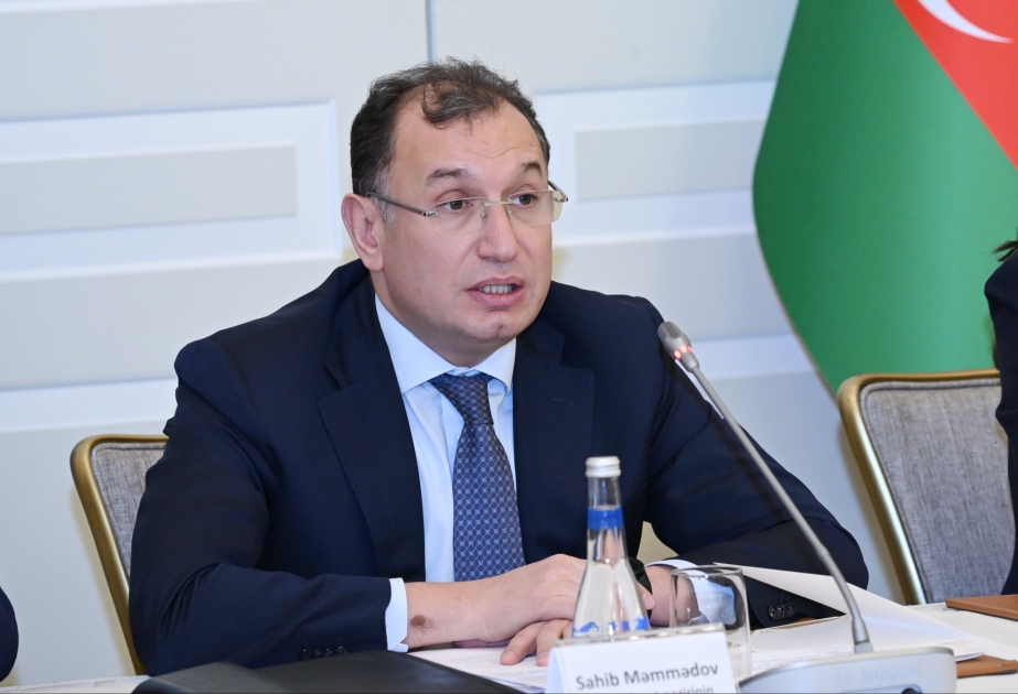 Nazir müavini: Mina təhlükəsi Qarabağ və Şərqi Zəngəzurda iqtisadi dirçəliş prosesini ləngidir