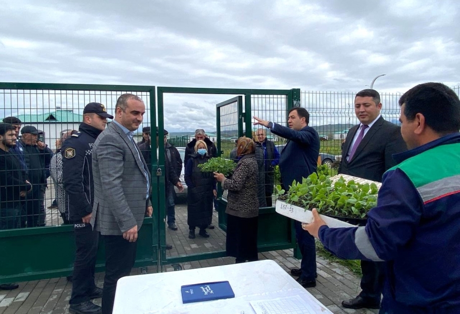 Ağalı və Cocuq Mərcanlı kəndlərində sakinlərə tərəvəz şitilləri paylanılıb