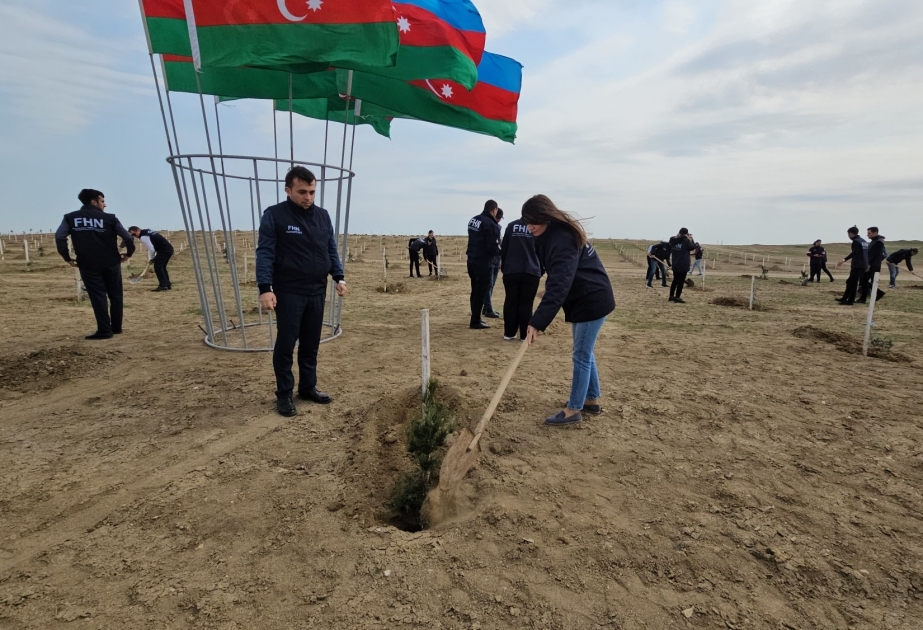 FHN-in əməkdaşları “Yaşıl dünya naminə həmrəylik ili” çərçivəsində 200-dən çox ağac əkiblər