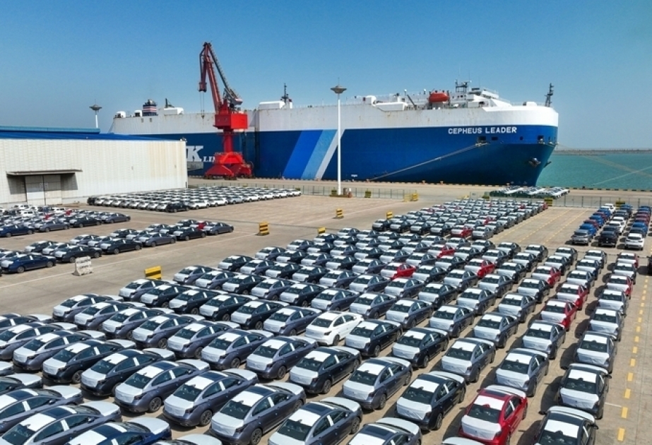 European ports turned into ‘car parks’ as vehicle imports pile up