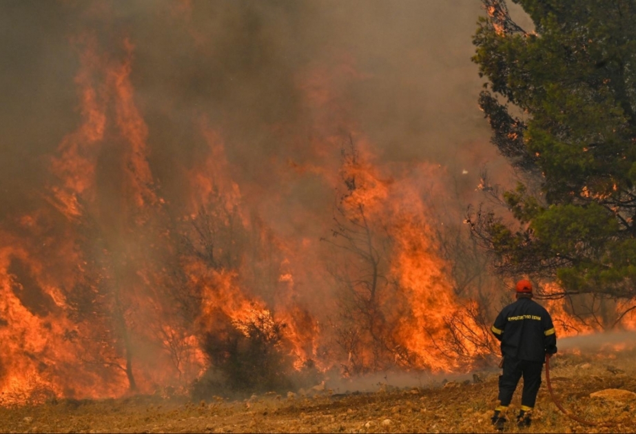 Пожары 2023 года в ЕС опустошили территорию, два раза превосходящую площадь Люксембурга