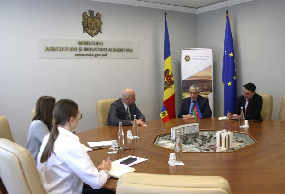 Azərbaycan ilə Moldova arasında ticarət dövriyyəsinin artırılması müzakirə olunub