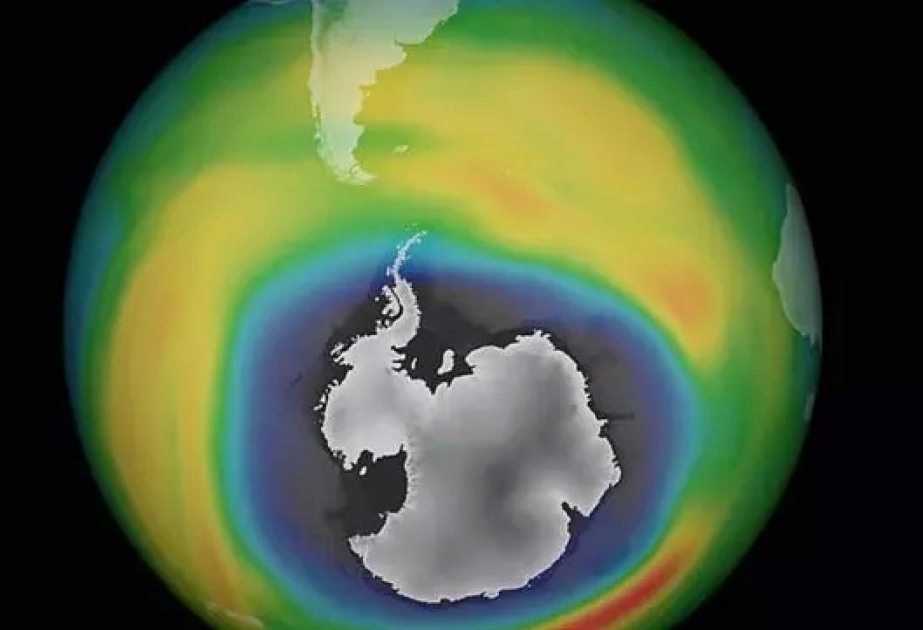 Ozonloch in der Atmosphäre und Ozonstress am Boden