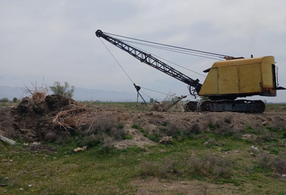 Naxçıvanda 105 hektar torpaq sahəsində şoranlaşmanın qarşısı alınıb