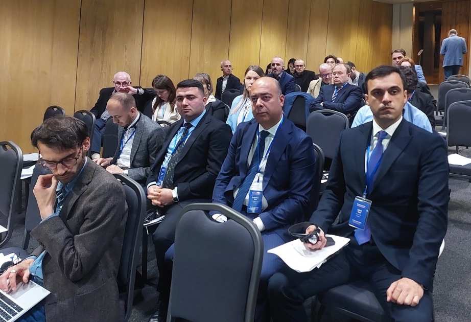 Azərbaycan nümayəndə heyəti Gürcüstanda keçirilən regional konfransda iştirak edir