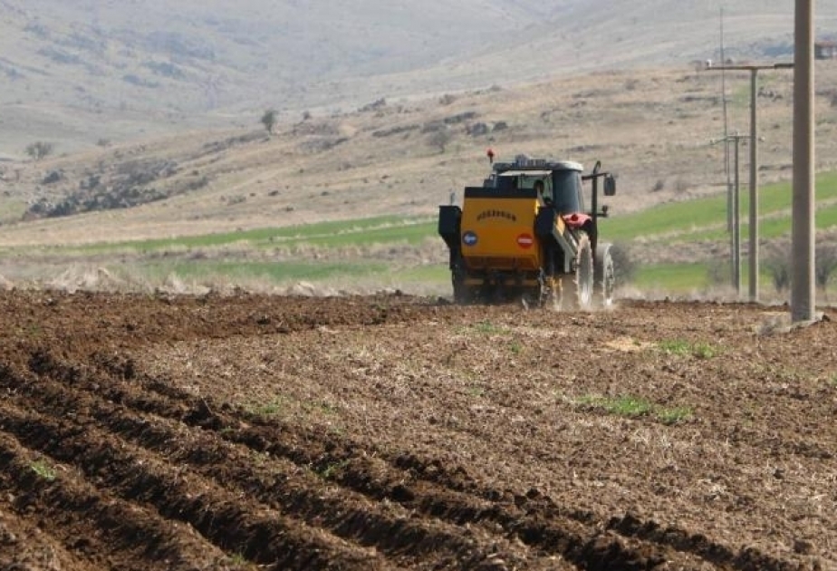 Турция экспортировала рекордное количество сельхозпродукции