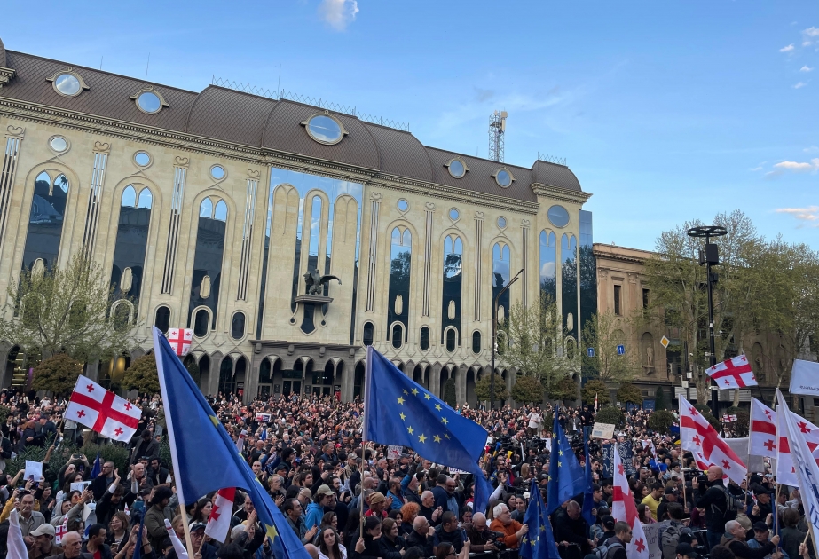 В Тбилиси перед зданием парламента прошел митинг