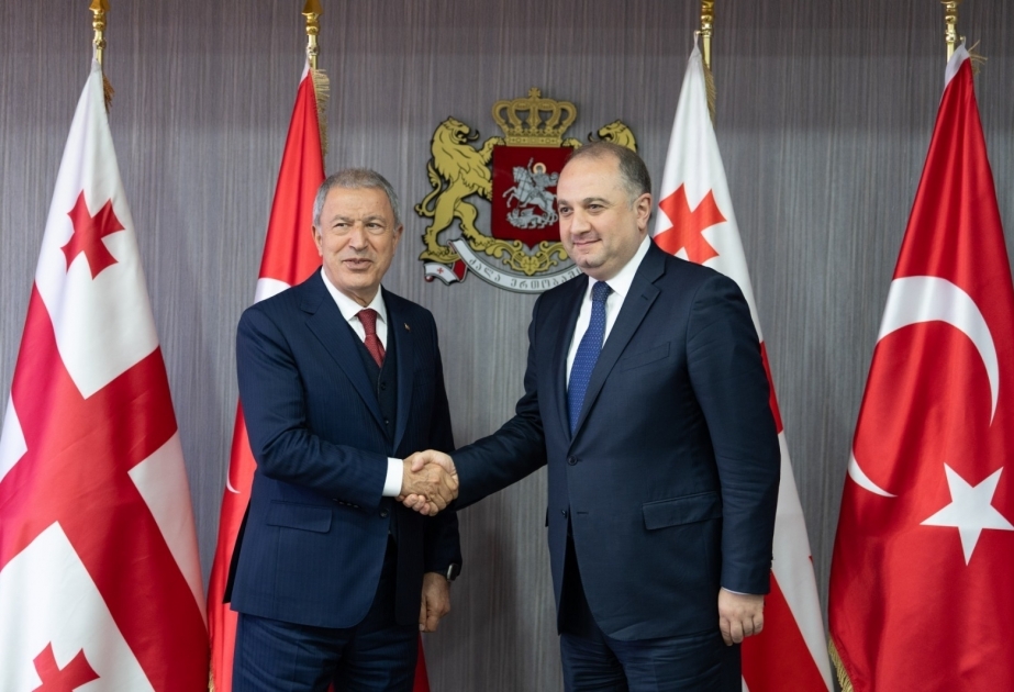 بحث مسائل التعاون العسكري بين تركيا وجورجيا