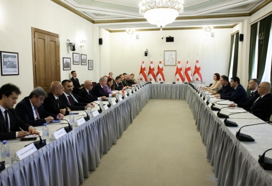 Türkiyə və Gürcüstan rəsmiləri regional problemləri müzakirə ediblər
