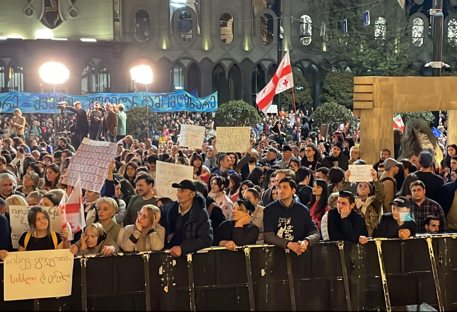 Tbilisidə etiraz aksiyası bərpa olunub