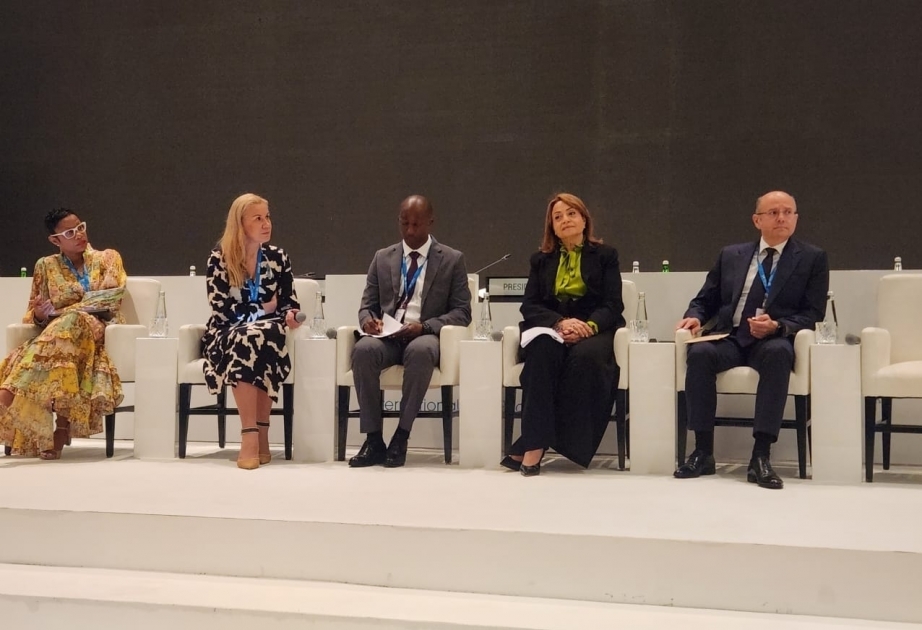 La 14ª Asamblea de la Agencia Internacional de Energías Renovables continúa con sesiones de paneles