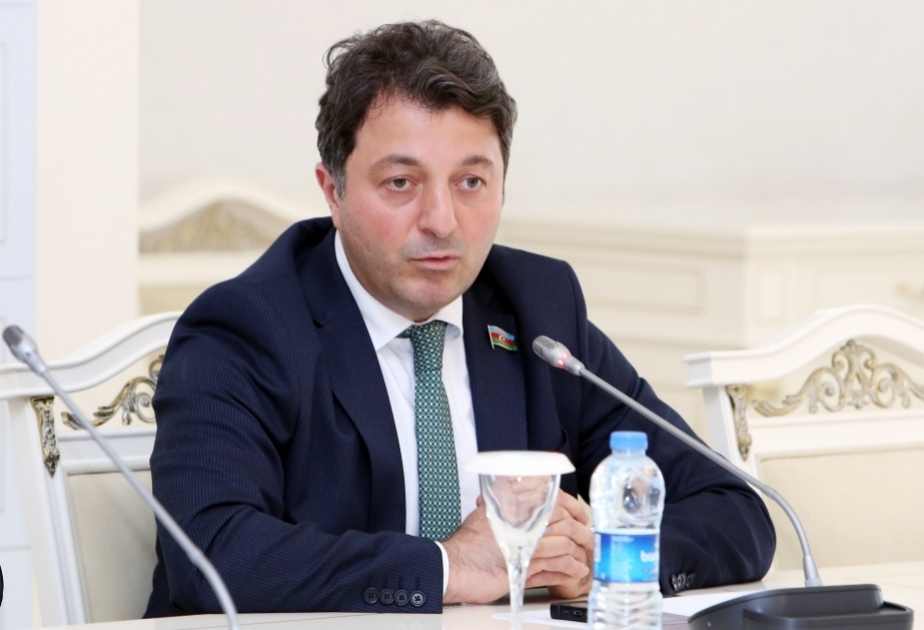 Турал Гянджалиев: Франция не хочет видеть бревна в своем глазу