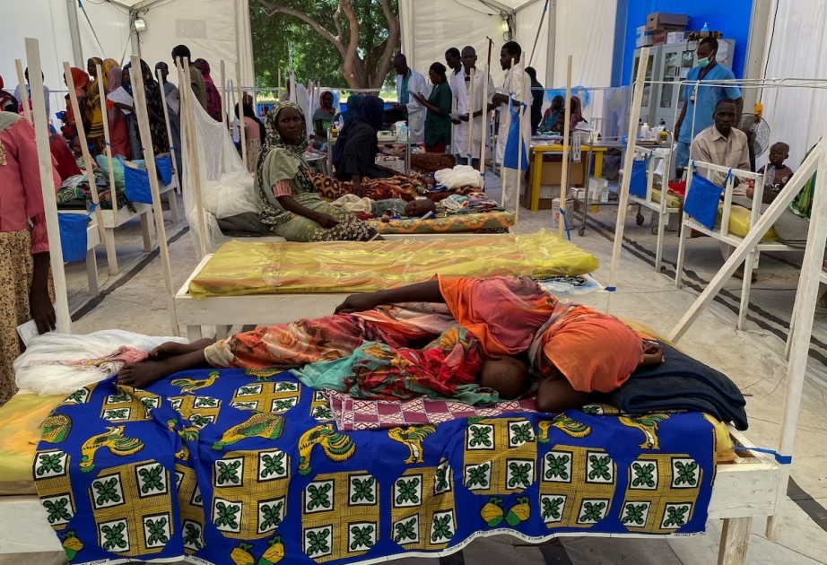 391 people die of cholera, dengue fever in Sudan