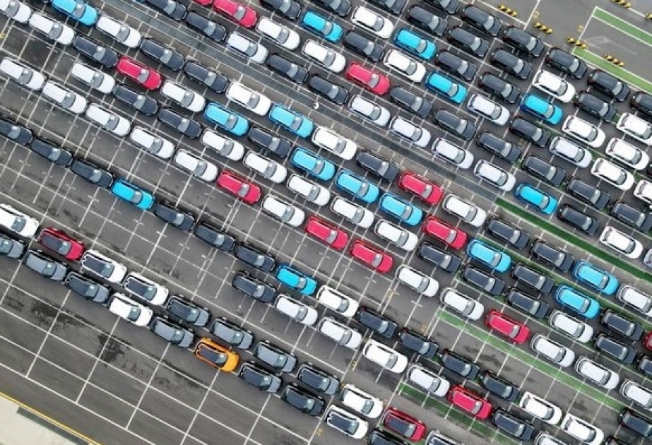 Shanghaier Häfen verzeichnen steigende Fahrzeugexporte im ersten Quartal