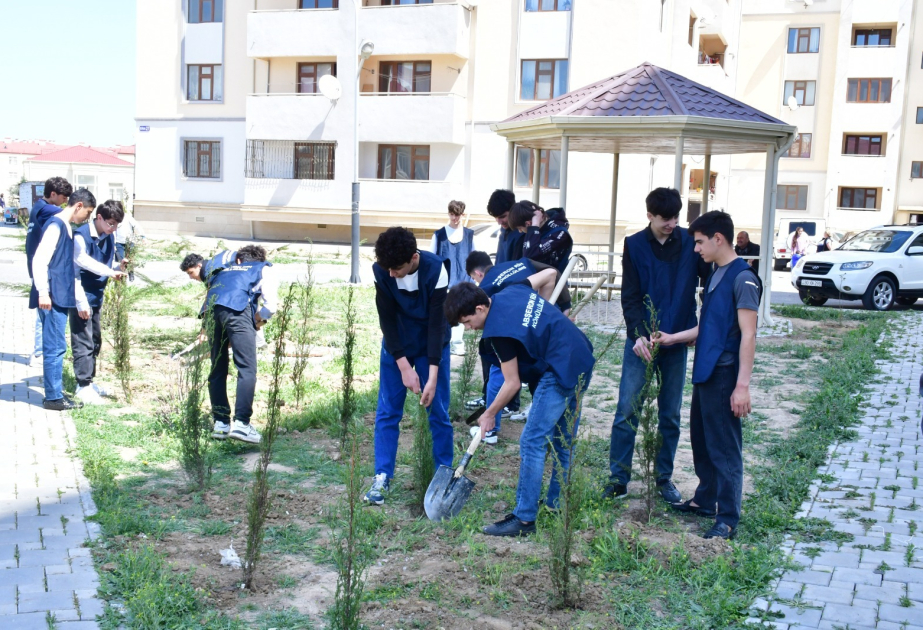 Abşeron rayonunda ağacəkmə aksiyası keçirilib