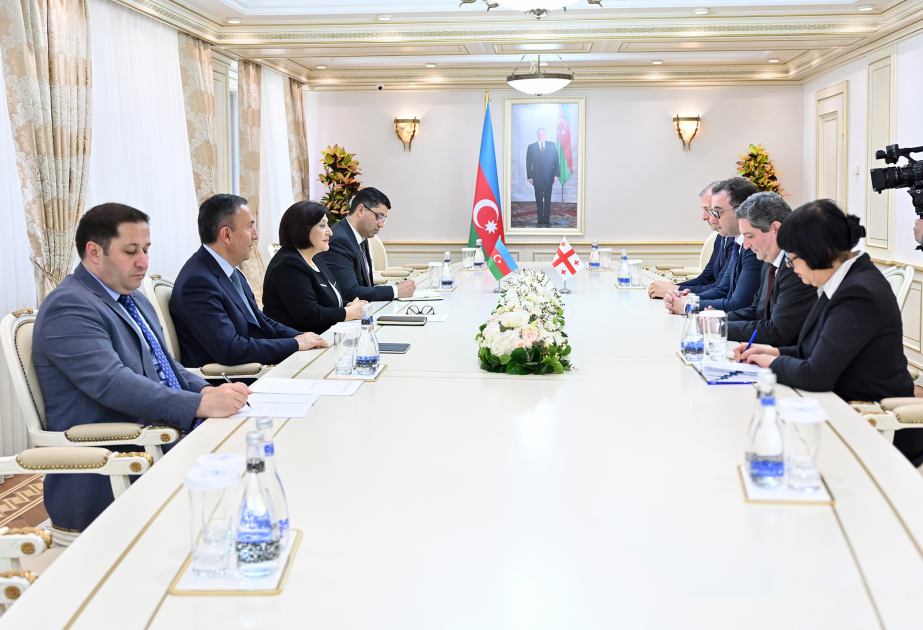 El Presidente de la Comisión del Parlamento de Georgia visitó Milli Majlis