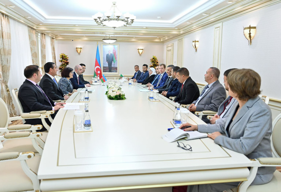 Гарби Абдель Бассет: Связи в рамках ДН открыли возможности для развития алжиро-азербайджанских отношений