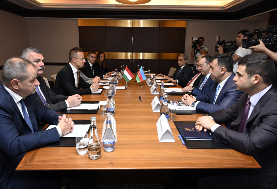 Azerbaijan's Minister of Labor and Social Protection of Population meets with Hungarian FM