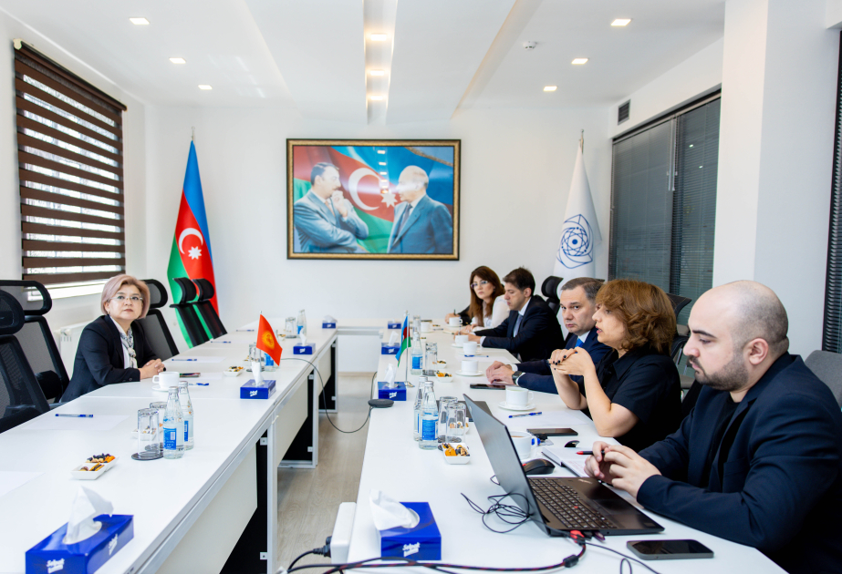 Azerbaijan, Kyrgyzstan discuss digital transformation