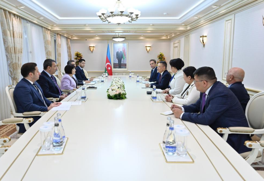 Председатель Милли Меджлиса встретилась с участниками заседания председателей комитетов по внешним связям парламентов тюркских государств