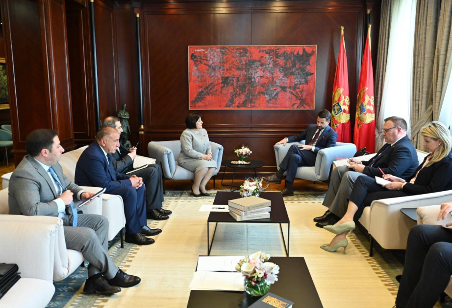 La Presidenta del Parlamento azerbaiyano entregó al Presidente de Montenegro una invitación para la COP29