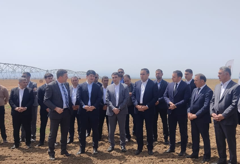 “Yaşıl dünya naminə həmrəylik ili" çərçivəsində respublika müşavirəsi keçirilib