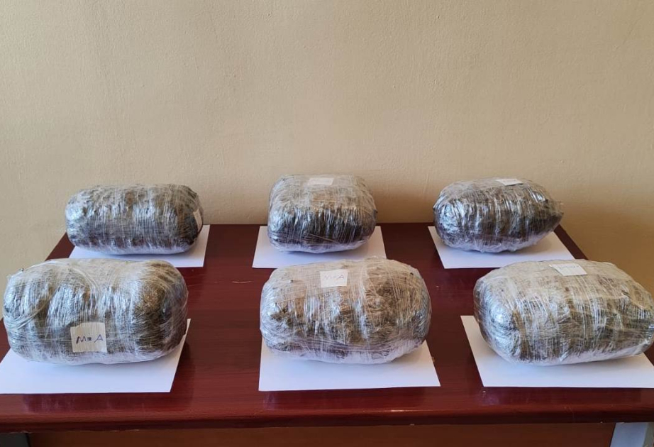 DSX: 6 kiloqramdan çox narkotik vasitənin İrandan Azərbaycana keçirilməsinin qarşısı alınıb