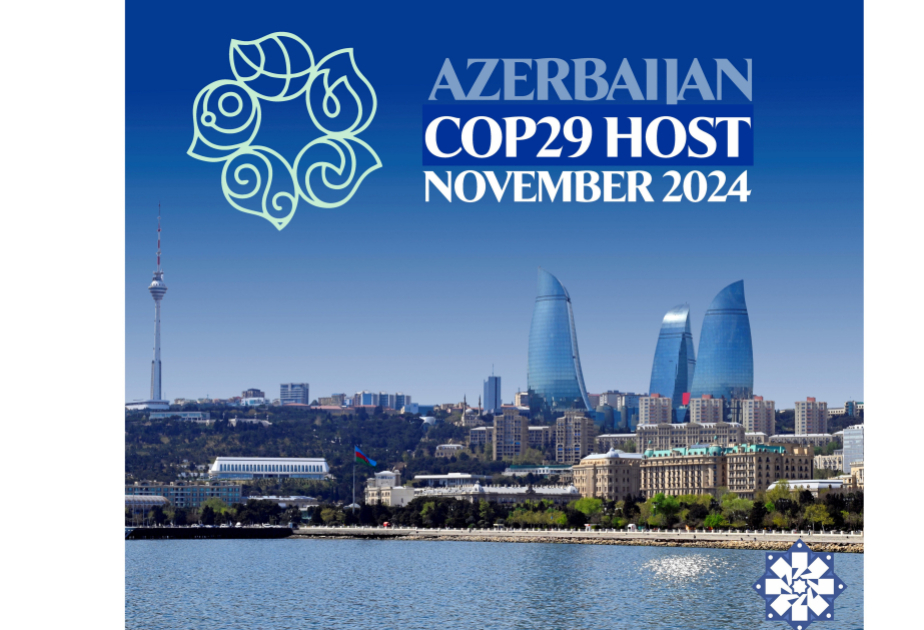 COP25-in vitse-prezidenti: Qarabağ və Şərqi Zəngəzur xalis sıfır emissiya zonasına çevrilə bilər – MÜSAHİBƏ