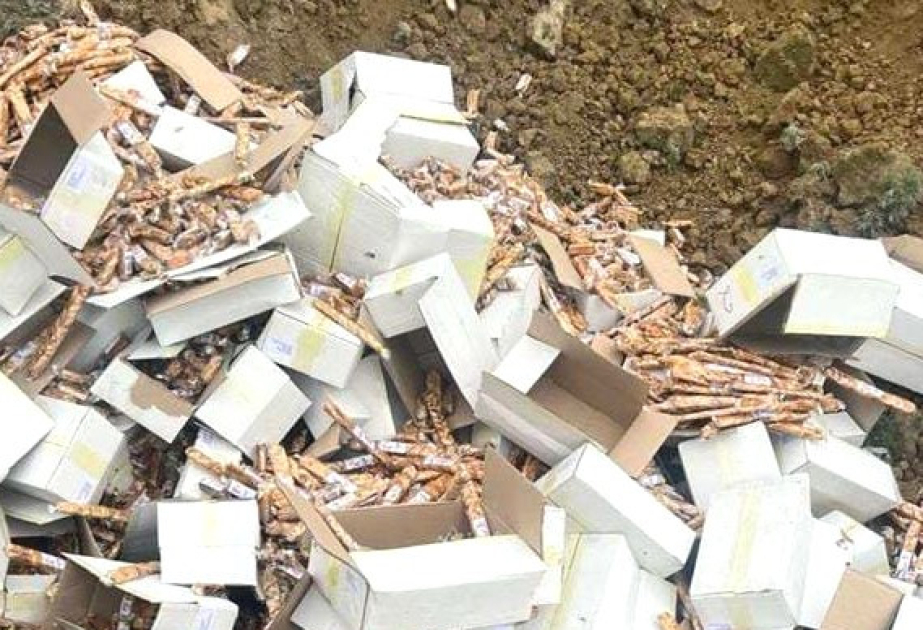 İstehlaka yararsız quru qovun və bamya toxumu məhv edilib