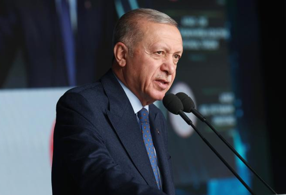 Эрдоган призвал к принятию своевременных мер в целях минимизации ущерба от экологических бедствий