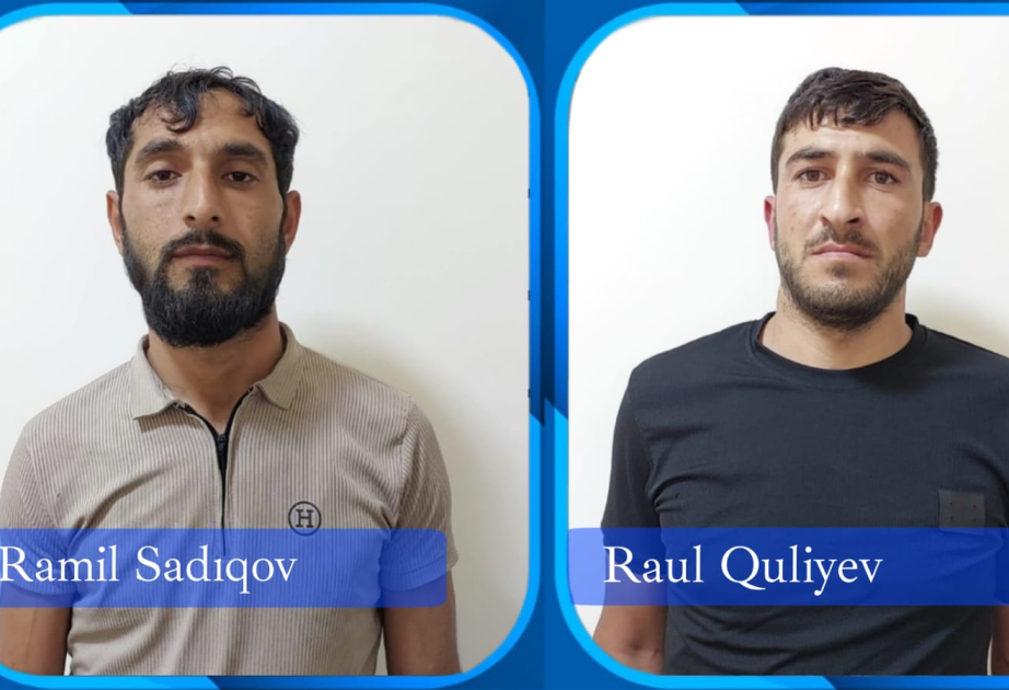 Cəlilabadda mal-qara oğurlayan qohumlar saxlanılıb