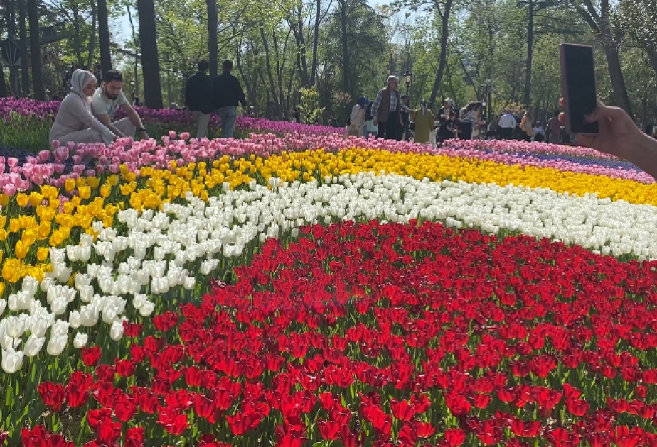 Aprel ayı İstanbulda daha bir Lalə Festivalı ilə yadda qalacaq