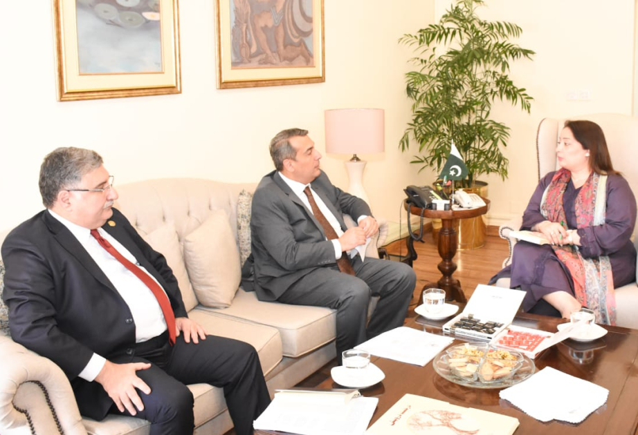 Pakistan Azərbaycana COP29-la bağlı texniki təcrübə təklif edib