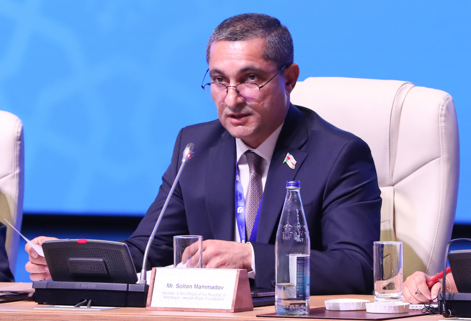 Soltan Məmmədov: Azərbaycan bəşəriyyətin ümumi sərvəti hesab olunan dəyərlərin mühafizəsində fəal iştirak edir VİDEO