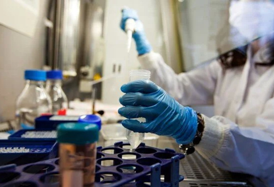 CDC's Fungi fighter reveals why the next pandemic could be a mutant fungus that causes skin boils and brain swelling