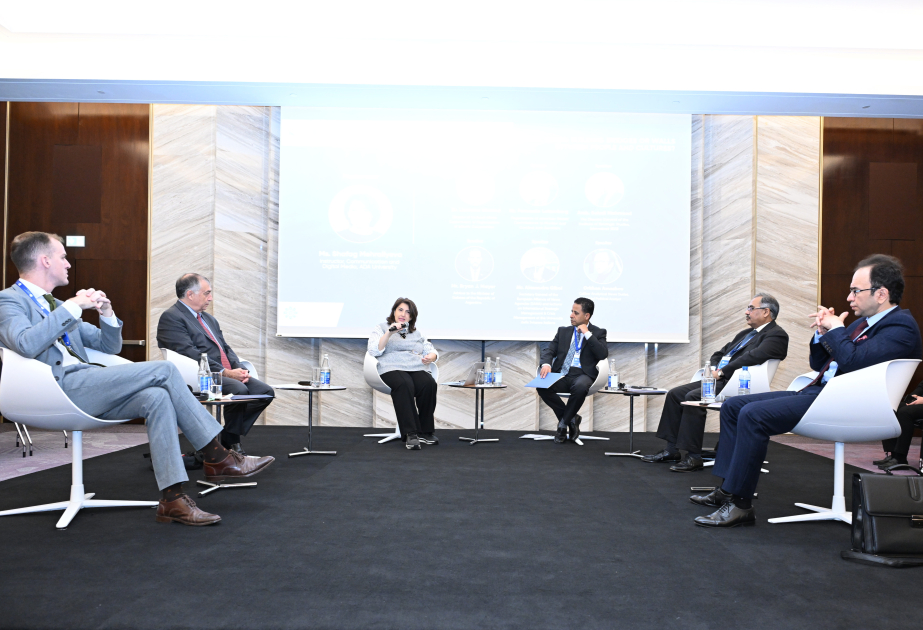 Mədəniyyətlərarası Dialoq Forumu çərçivəsində sosial medianın rolu müzakirə edilir