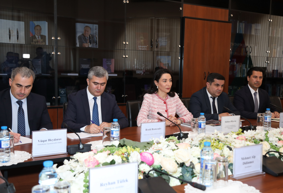 Azerbaijan, Turkiye discuss cooperation in protection of human rights