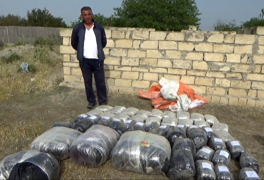 İrandan Azərbaycana 87 kiloqram narkotik vasitə gətirən Neftçala rayon sakini saxlanılıb VİDEO