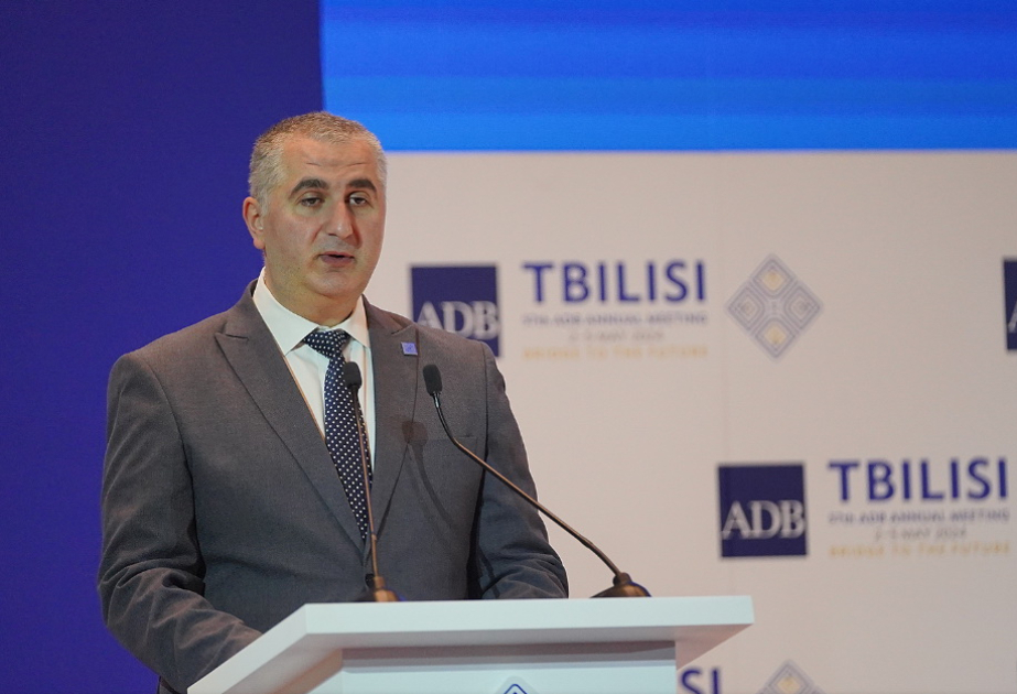 Gürcüstan “yaşıl dəhliz” layihəsinə özəl sektoru cəlb etmək istəyir