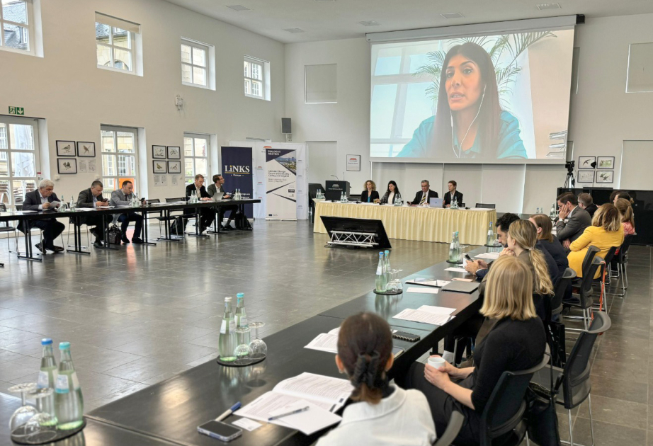 Almaniyanın Bonn şəhərində “COP29 və sonrası - sülh, təhlükəsizlik və iqlim dəyişikliyi” mövzusunda konfrans keçirilib