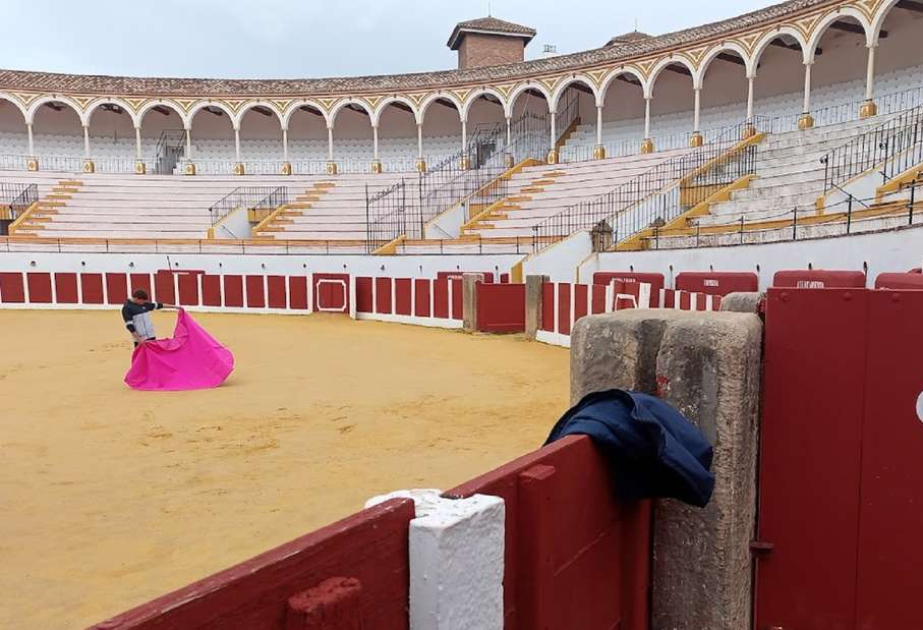 Spanien: Nationaler Stierkampf-Preis wird abgeschafft