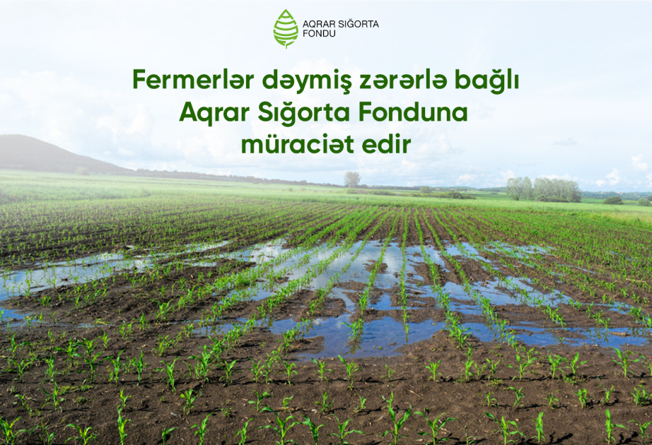 Hava şəraiti ilə əlaqədar təsərrüfatlara zərər dəyməsi barədə son üç gündə 20 müraciət daxil olub