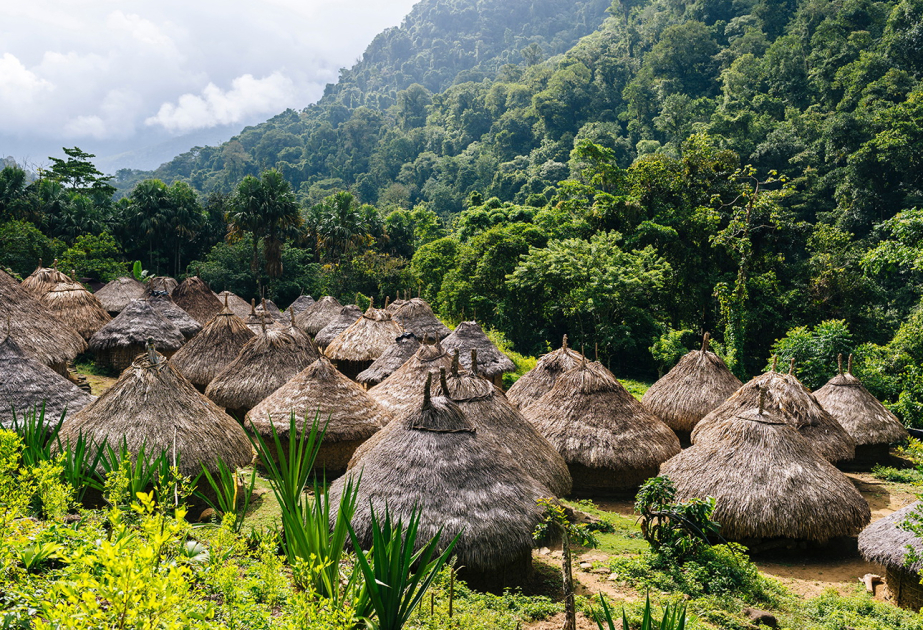 Le 19e Forum des Nations Unies sur les forêts se déroule à New York