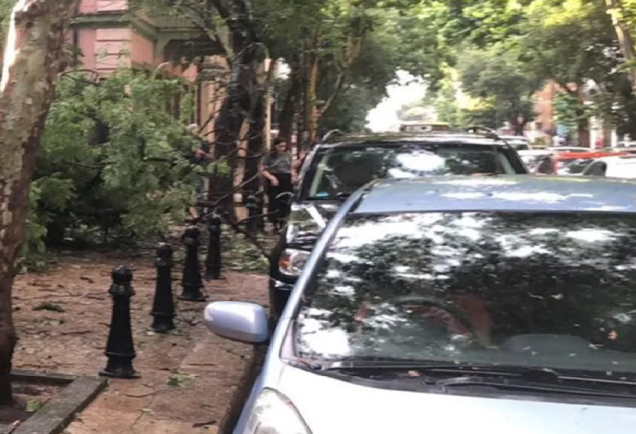 Güclü yağışlar Gürcüstanda ciddi problemlər yaradıb