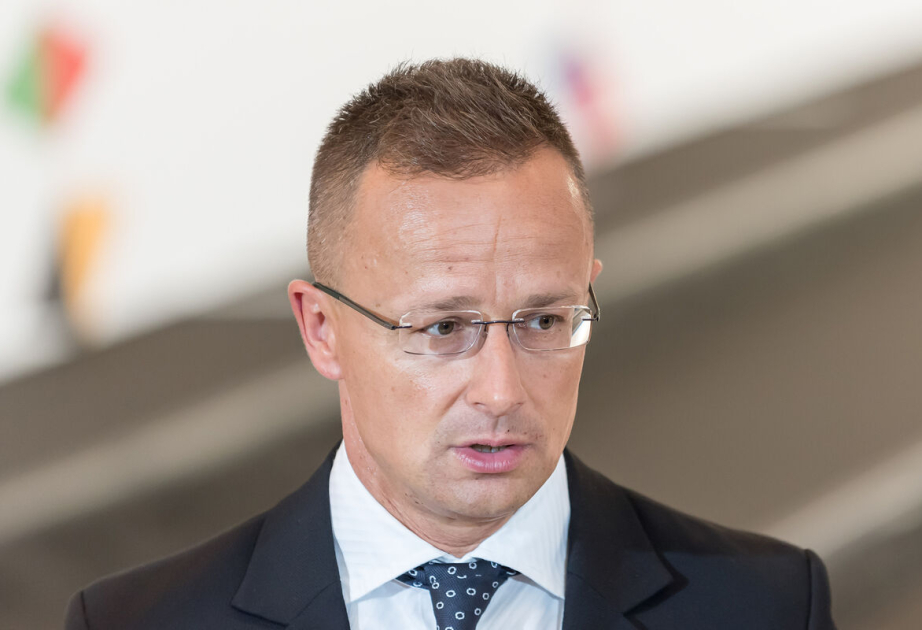Глава МИД Венгрии рассказал о критике за сотрудничество с Центральной Азией