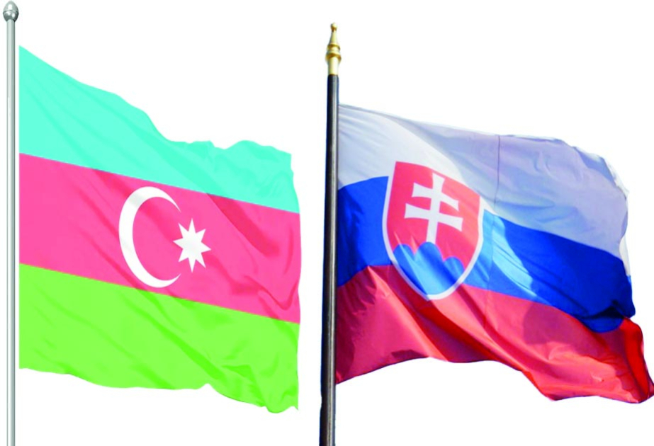 Azərbaycan-Slovakiya əlaqələrində yeni səhifə açılır  ŞƏRH