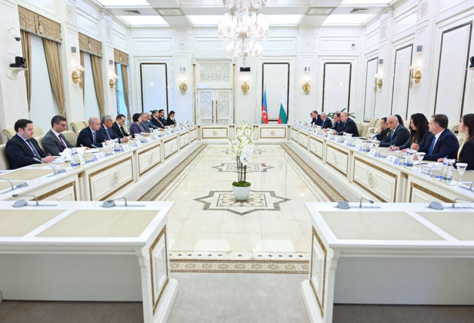 Спикер Милли Меджлиса Сахиба Гафарова встретилась с Президентом Болгарии Руменом Радевым