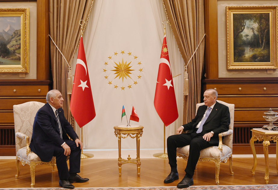 Le Premier ministre Ali Assadov reçu par le président Recep Tayyip Erdogan
